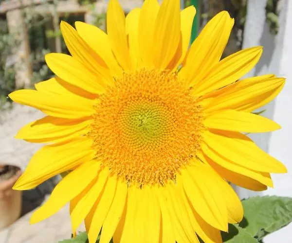 Le Jardin Du Somail Prázdninový dům *